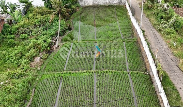 Dijual Tanah Kavling Lingkungan Bagus di Tasikmadu Lowokwaru Malang