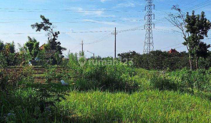 Tanah Luas di Karang Ampel Timur Dekat The Oz, Dau, Malang 1