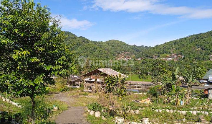 LAHAN STRATEGIS DAN PROSFEKTIF 3