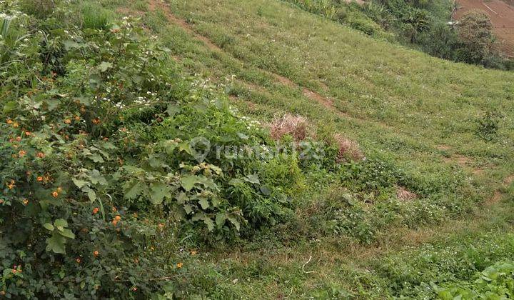 LAHAN PERTANIAN DAN AGROBISNIS 3