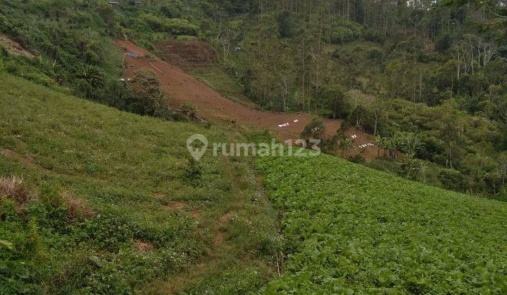 LAHAN PERTANIAN DAN AGROBISNIS 4