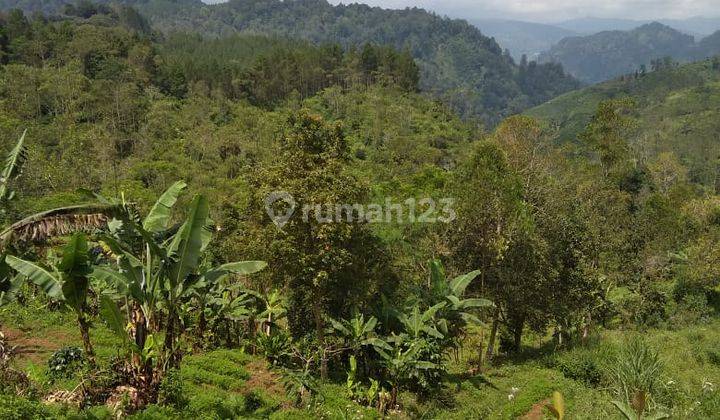 LAHAN PERTANIAN DAN AGROBISNIS 5