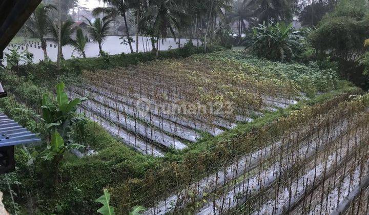 Rumah Asri Singaparna Tasik 19