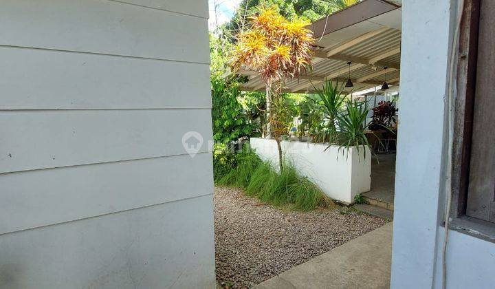 Rumah Sayap Riau  12