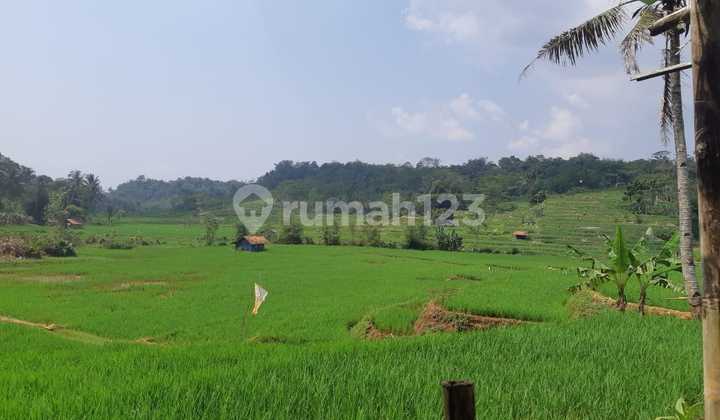 Tanah Agrowisata Subang 1