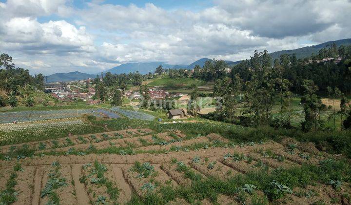 Tanah Wisata  Ciwidey 3