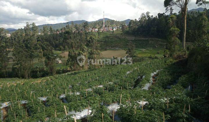 Tanah Wisata  Ciwidey 5