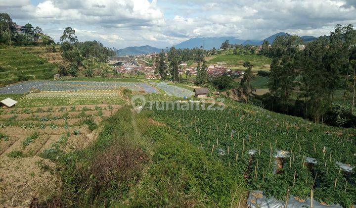 Tanah Wisata  Ciwidey 6