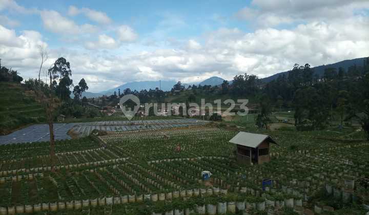 Tanah Wisata  Ciwidey 14