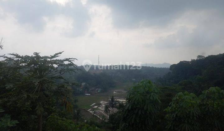 Tanah Raja Mandala 12