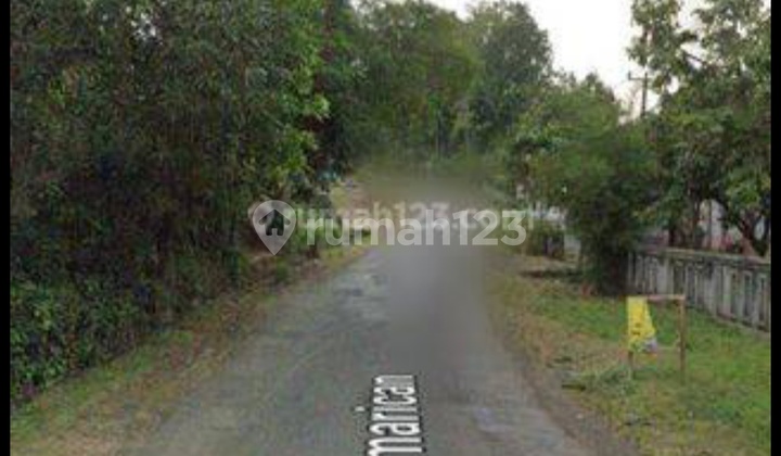 Tanah perkebunan karet 3