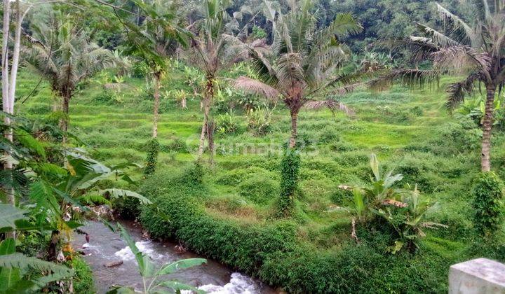 Tanah jl cagak 1