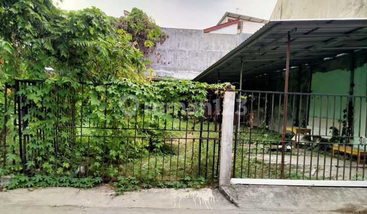 Tanah Super Istimewa Dekat Kampus Di Suteran Tanah Super Istimewa Dekat Kampus Di Suteran