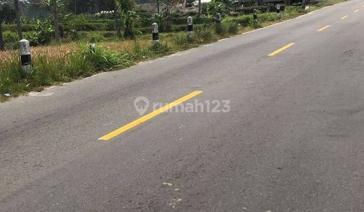 TANAH BAGUS DI CANGKRINGAN  2