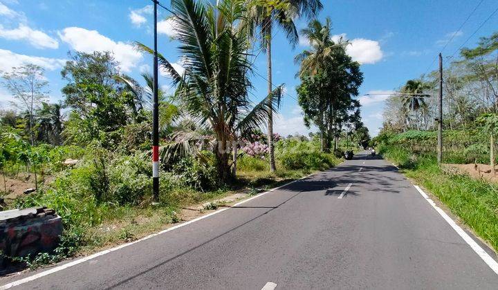 TANAH SUPER ISTIMEWA DAN MURAH DI BOROBUDUR 2