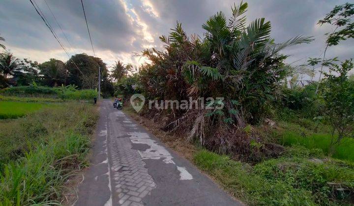 TANAH CANTIK DAN MURAH DI JALAN KALIURANG  2