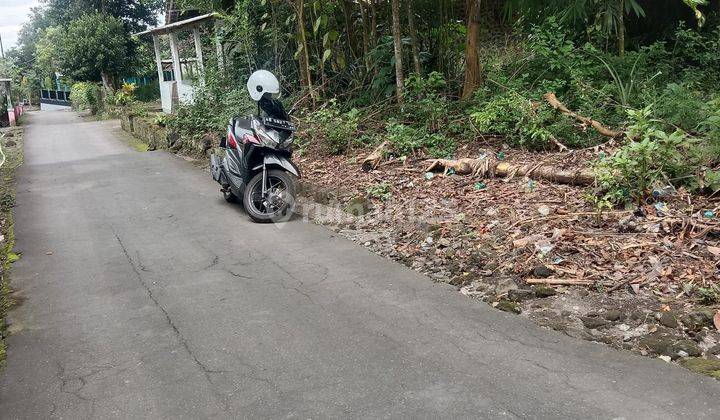 TANAH SUPER MURAH DAERAH HARJOBINANGUN PAKEM 1