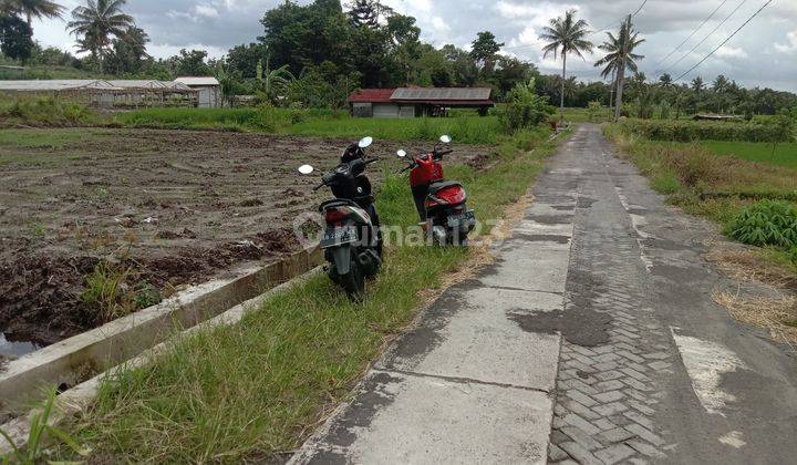 TANAH SUPER MURAH DI HARJOBINANGUN PAKEM 2