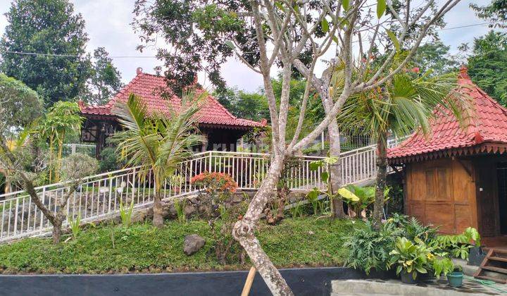 VILLA MODEL JOGLO ASRI DAN NYAMAN DI JALAN KALIURANG  1