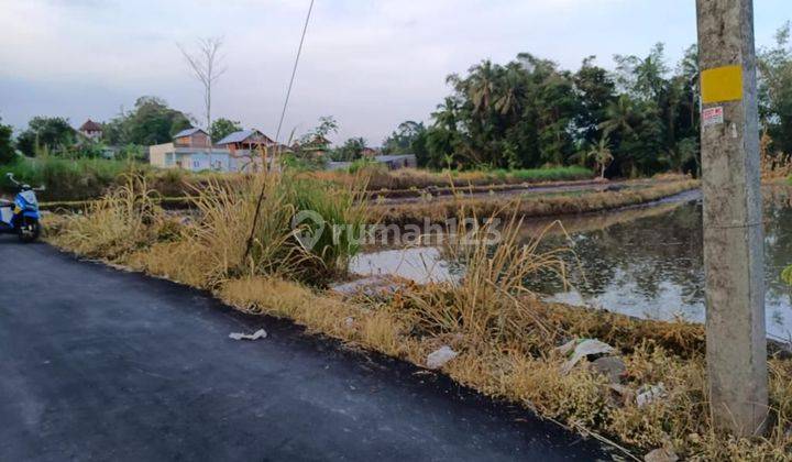 TANAH SUPER MURAH Di HARJOBINANGUN PAKEM 2