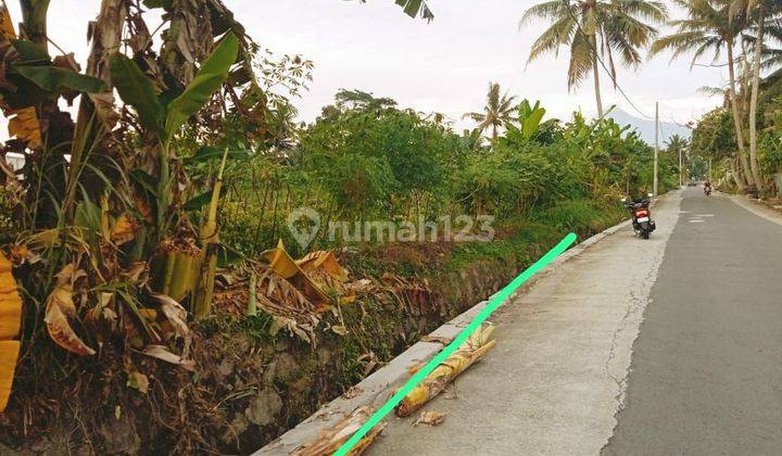 TANAH SUPER ISTIMEWA DAN MURAH DEKAT KAMPUS UII DI JALAN KALIURANG  KM 14 2