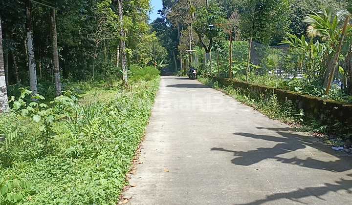 Tanah Super Murah Di Cangkringan Tanah Super Murah Di Cangkringan