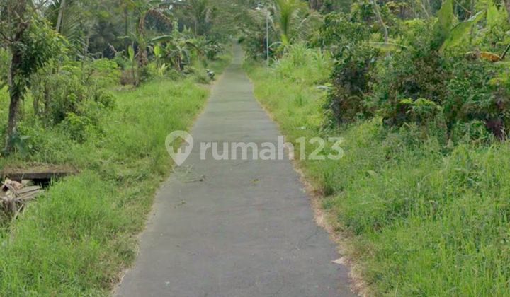 Tanah Super Istimewa dan Murah di Pakem