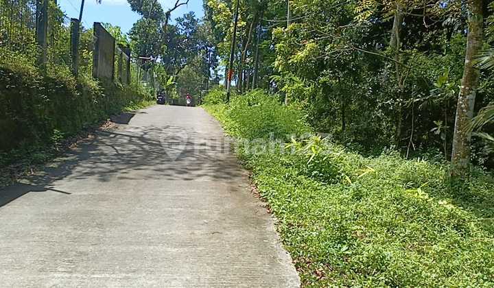 Tanah Super Murah Di Cangkringan Tanah Super Murah Di Cangkringan