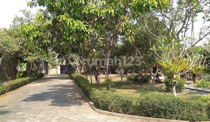 Grand Colonial Style Villa Near UII Campus On Jalan Kaliurang Km 16 2