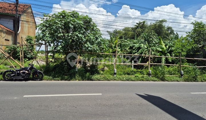 Tanah Super Istimewa Jalan Imogiri Timur 