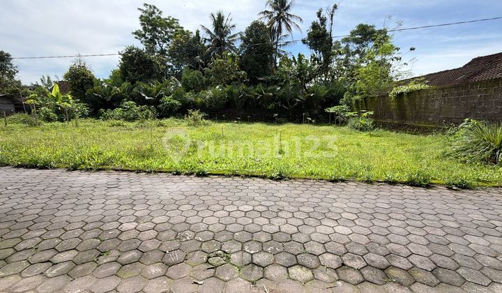 Tanah Super Murah Di Turi Tanah Super Murah Di Turi