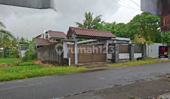 Rumah Asri dan Nyaman Dekat Kampus Ugm dan Uii di Jalan Kaliurang Km 10