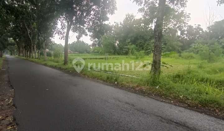 Super Special and Cheap Land on Gito Gati Road