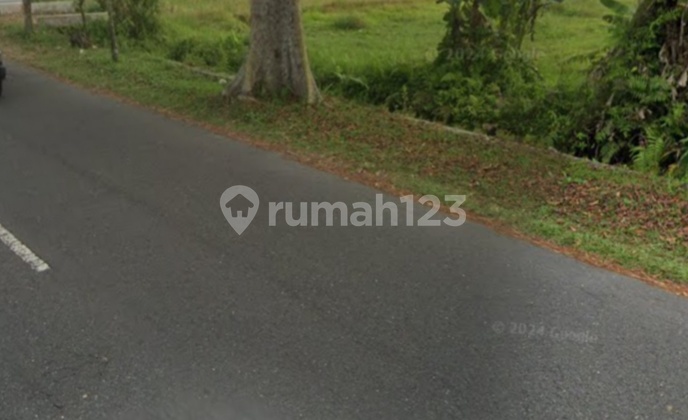 Tanah Super Murah Di Jalan Palagan