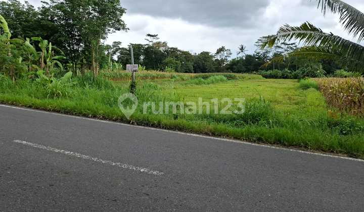 Super Cheap Land Near UII Campus on Jalan Kaliurang Km 13 Super Cheap Land Near UII Campus on Jalan Kaliurang Km 13