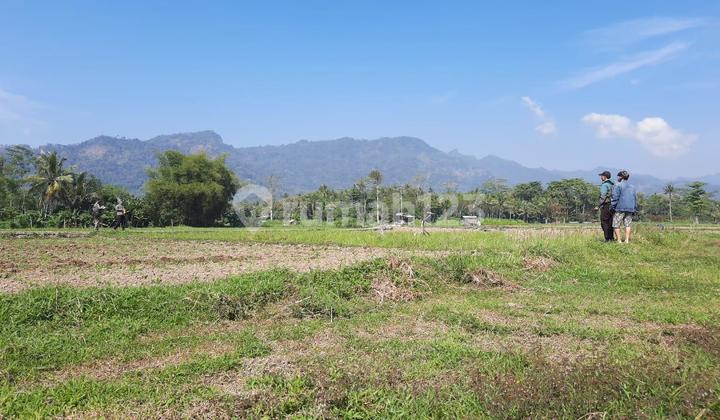Tanah Super Murah Di Borobudur 