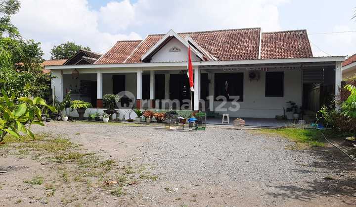 Super Cheap House with Spacious Land and Beautiful Environment in Bimomartani 2