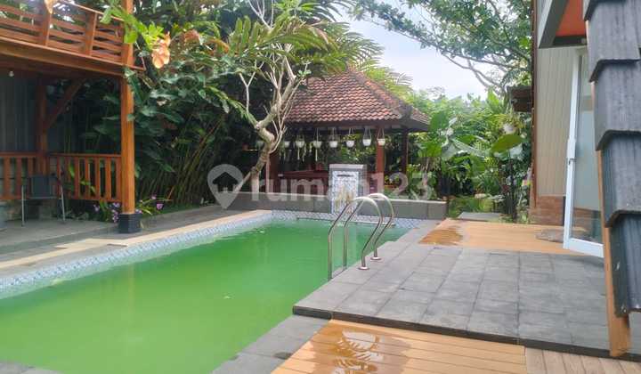 Villa Eksotis Sejuk Dan Asri Dengan View Pedesaan Di Turi