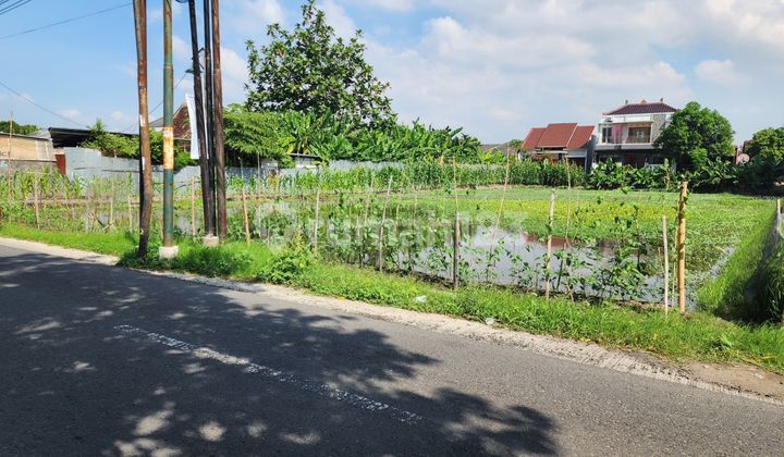 Tanah Super Istimewa dan Murah di Banguntapan Bantul