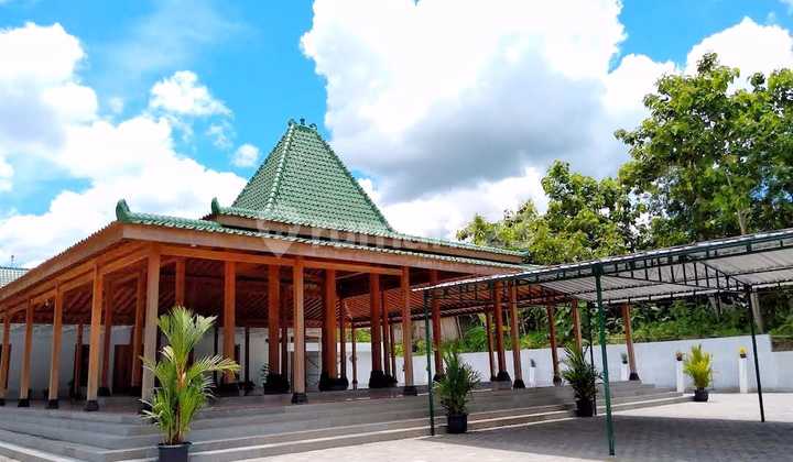 Rumah Joglo Lahan Luas Dan Asri Di Wates 1
