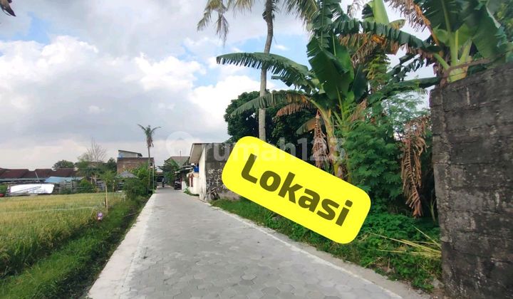 Tanah Super Murah Di Sembego Timur Pasar Stan