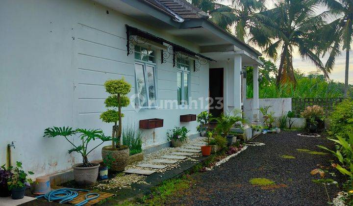 Rumah Cantik Dan Asri Di Donokerto Turi 2