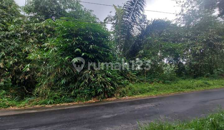 Tanah Super Murah Di Pakem