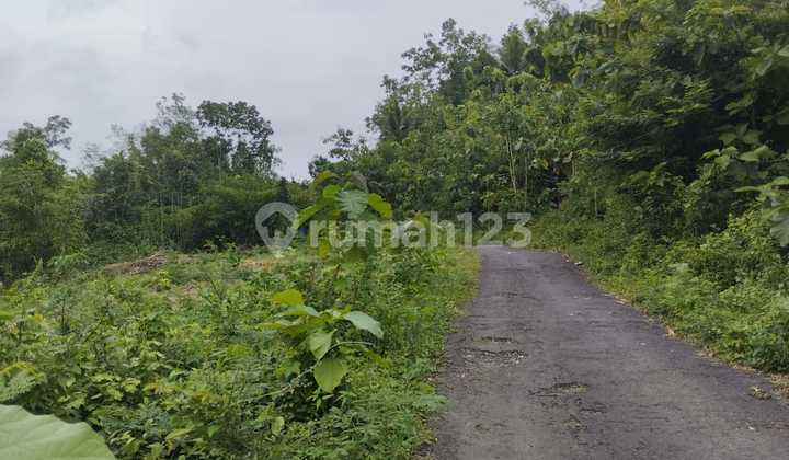 Tanah Super Murah di Bantul Yogyakarta