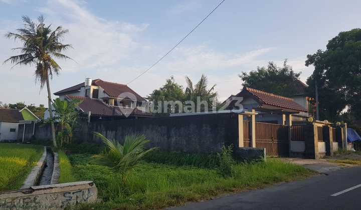 A Serene and Comfortable House Near UGM and UII Campuses on Jalan Kaliurang Km 10 2