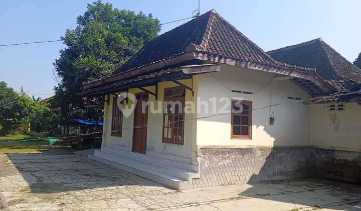 Rumah Lawas Model Joglo Classic Daerah Denggung Dekat Sleman Citi Hal 1