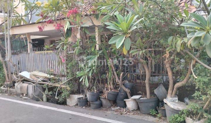 Rumah tua hitung tanah di Roxy Jakarta Pusat 1