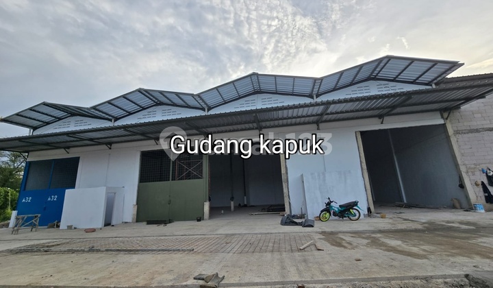 Disewa Gudang di Kapuk Kamal Jakarta Utara