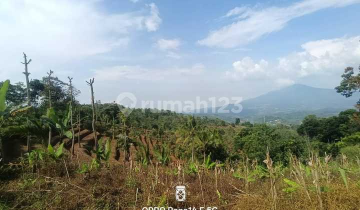 Tanah Bersertifikat Luas Berkontur Harga Nego Di Subang Ciater