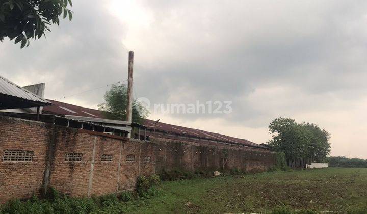 Jual Pabrik Di Pekalongan, Nego sampai jadi !!! 2